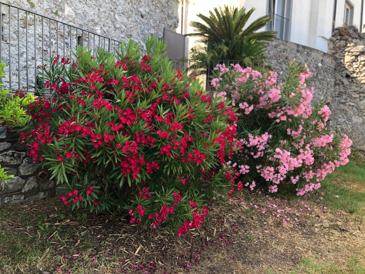Appartamento Un Capriccio - Ginepro Aieta Esterno foto