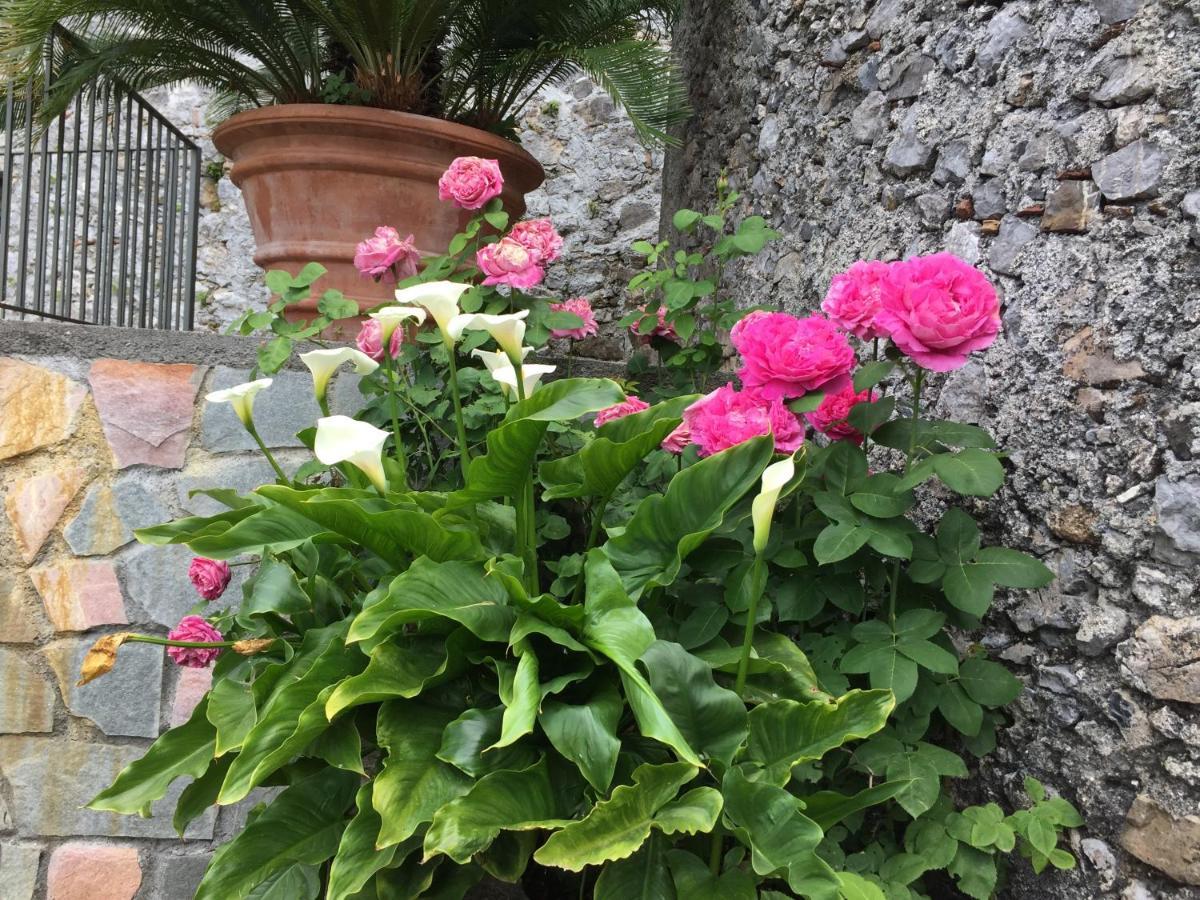 Appartamento Un Capriccio - Ginepro Aieta Esterno foto